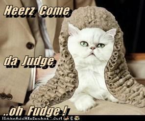 Heerz  Come da  Judge ..oh  Fudge !