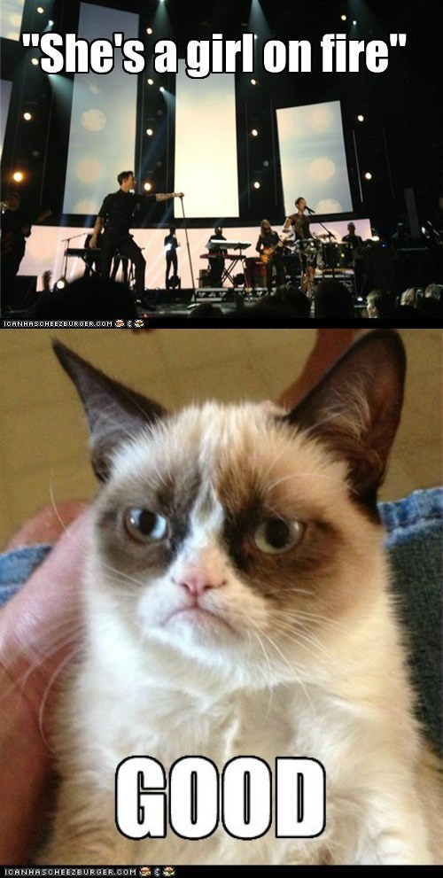 Grumpy Cat Is Not Amused By Your Antics, Alicia Keys