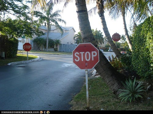 I said stop...
