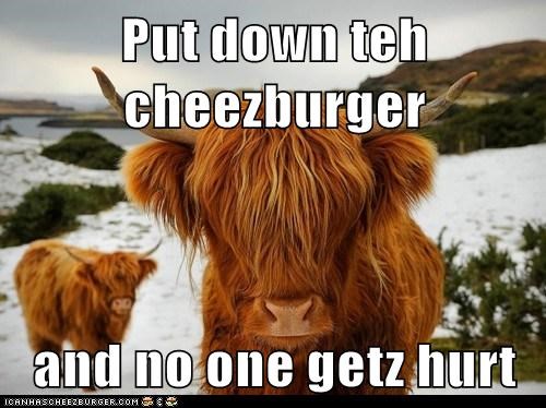 Put down teh cheezburger  and no one getz hurt