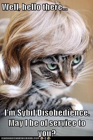Well, hello there...  I'm Sybil Disobedience. May I be of service to you?