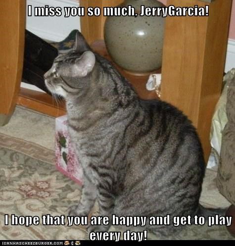 I miss you so much, JerryGarcia!  I hope that you are happy and get to play every day!