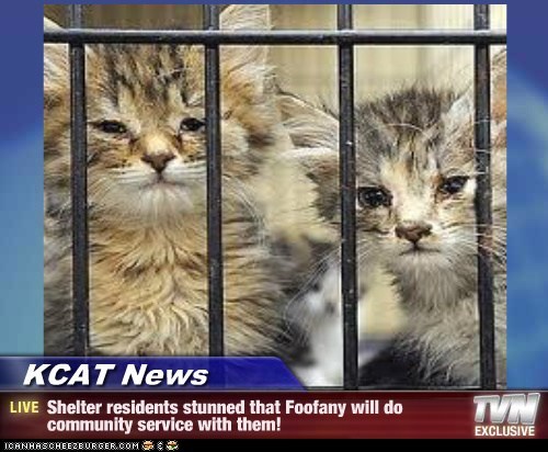 KCAT News - Shelter residents stunned that Foofany will do community service with them!