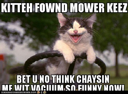 lawn kitteh