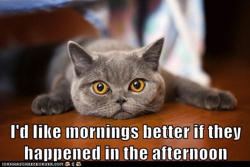 I'd like mornings better if they happened in the afternoon