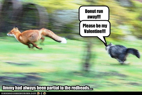 Donut run away!!!