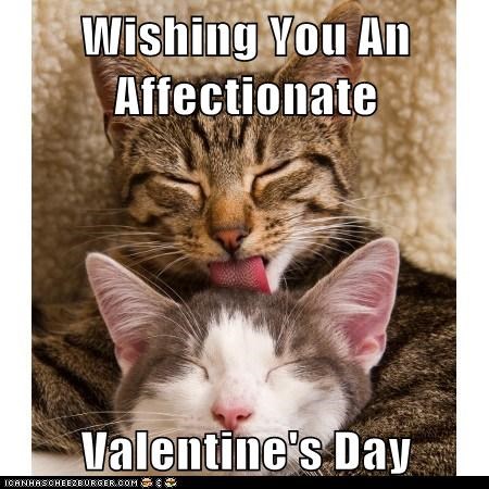 Wishing You An Affectionate  Valentine's Day