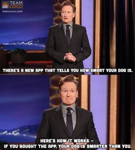 You Can't Let the Dog Win
