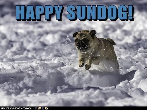 Happy Sundog! 
