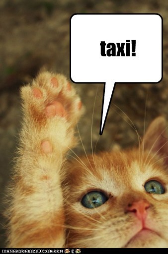 taxi!