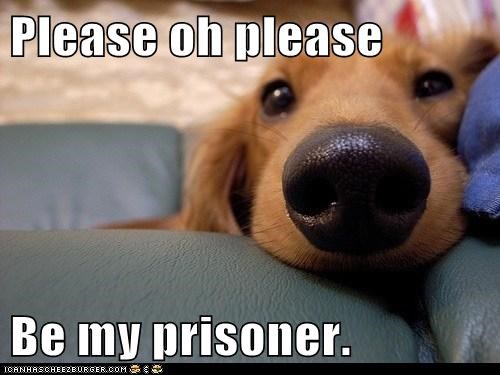 Please oh please  Be my prisoner.