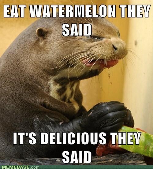 So Nutritious, They Said