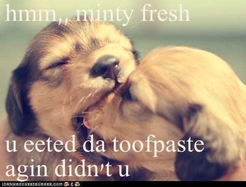 hmm,, minty fresh  u eeted da toofpaste agin didn't u
