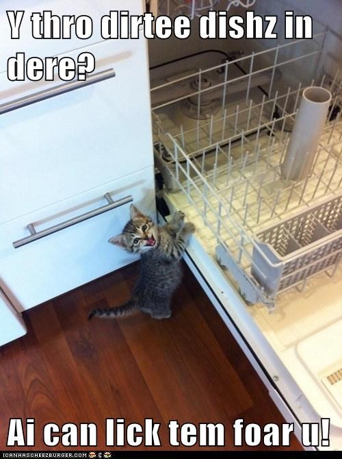 Don't U Wantz My Halp?