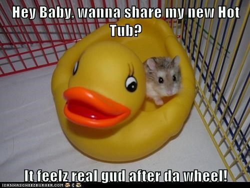 Hey Baby, wanna share my new Hot Tub?