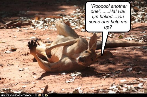 "Roooool another one".......Ha! Ha! i,m baked ..can some one help me up?