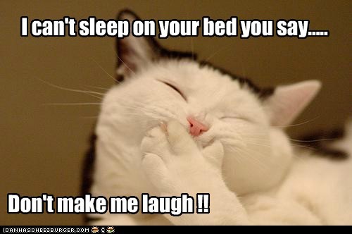 Don't Make Me Laugh