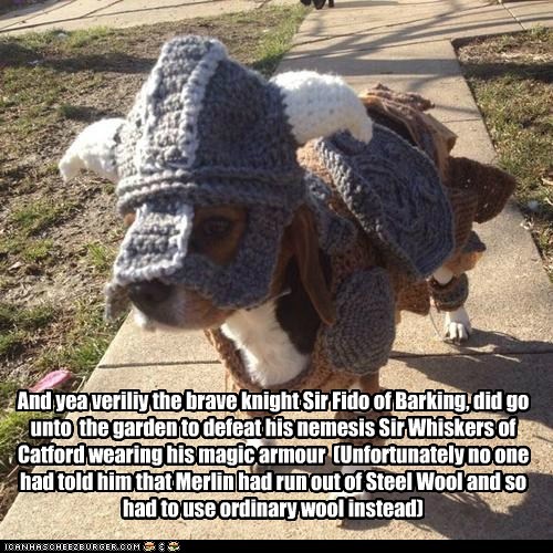And yea veriliy the brave knight Sir Fido of Barking, did go unto  the garden to defeat his nemesis Sir Whiskers of Catford wearing his magic armour  (Unfortunately no one had told him that Merlin had run out of Steel Wool and so had to use ordinary wool 