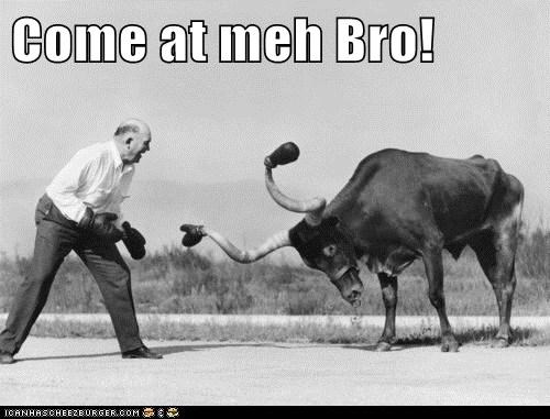 Come at meh Bro!