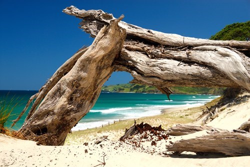 Pakiri Beach, New Zealand