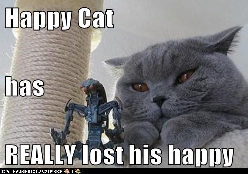 Happy Cat has REALLY lost his happy
