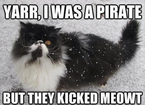 Call it a Mewtiny