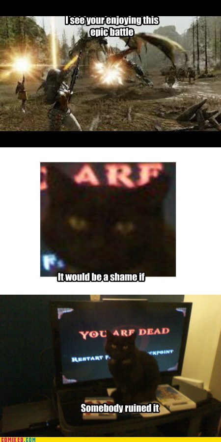 Troll Cat