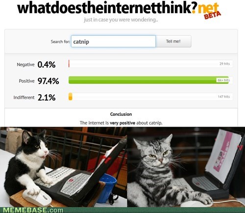 On the Internet, Nobody Knows You're a Cat