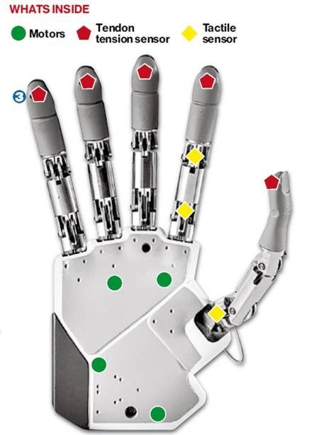 Making a Better Bionic Hand