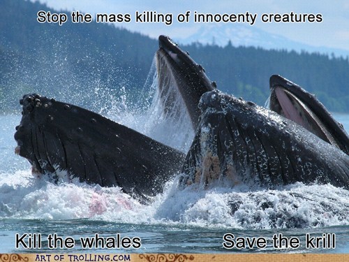 We Must Do Something!