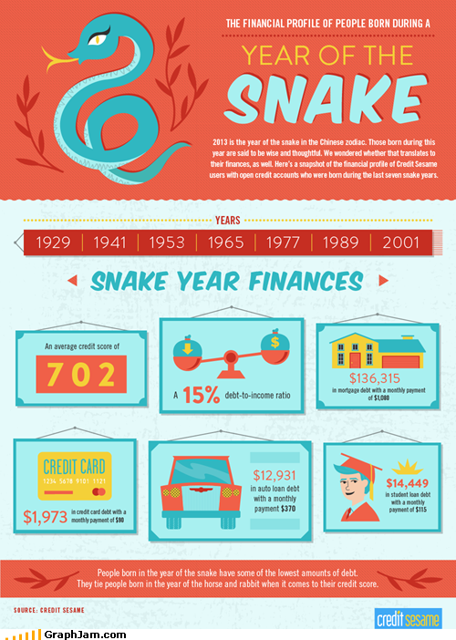 Year of the Snake Finances