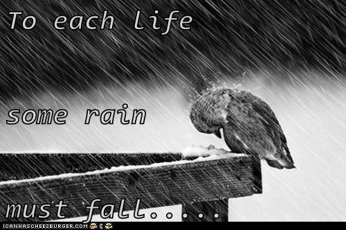 To each life some rain must fall.....