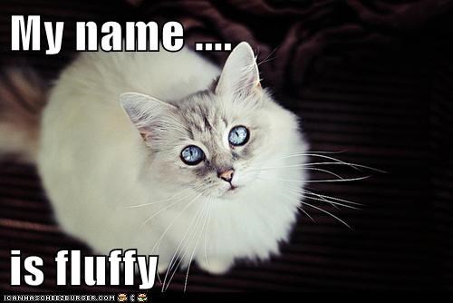My name ....  is fluffy
