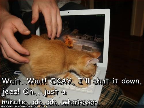 Wait..Wait! OKAY, I'll shut it down, jeez! Oh...just a minute..ok..ok..whatever..