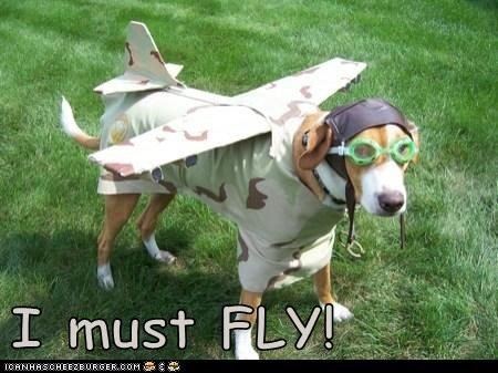 I must FLY!