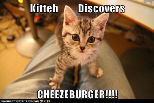 The Human had it This Whole Time!
