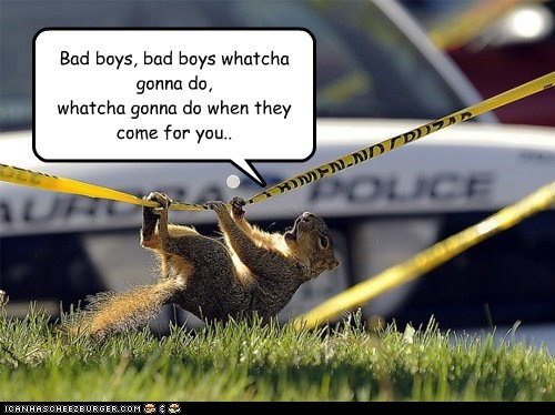 Bad boys, bad boys whatcha gonna do, whatcha gonna do when they come for you..