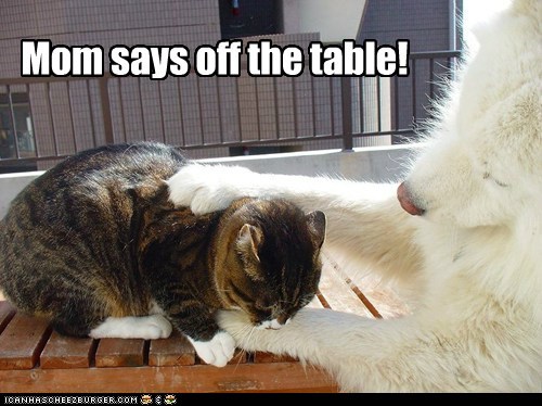 Mom says off the table!