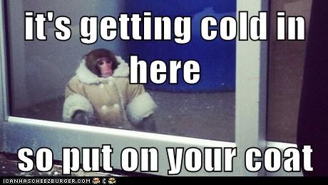 it's getting cold in here  so put on your coat