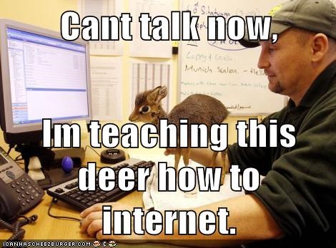 It's a Very Important Job!