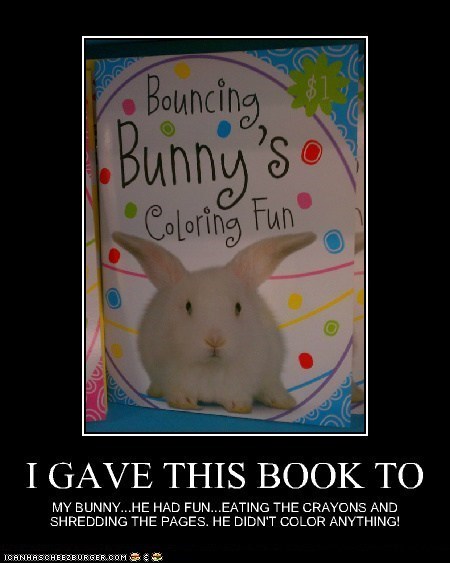 Fun for Bunnies...Right!