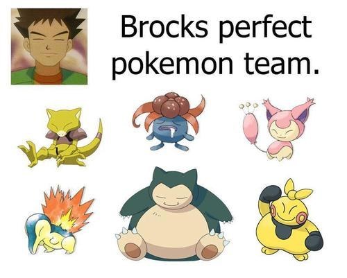 Brock Wants His Pokemon to See What He Sees