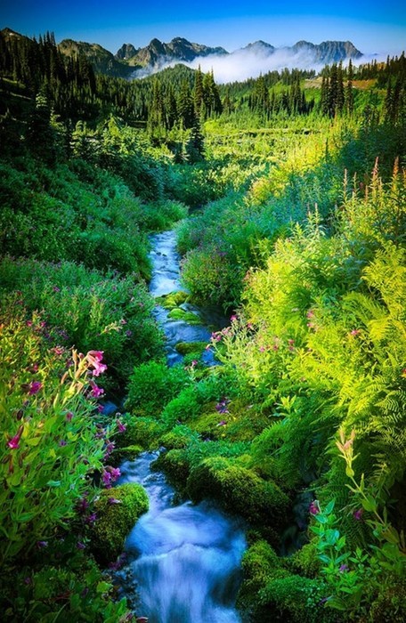 An Idyllic Scene