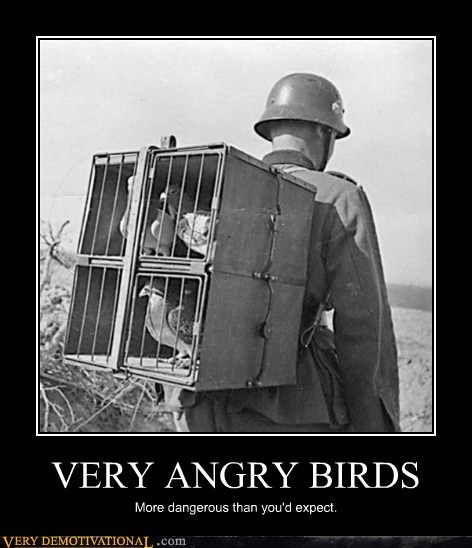Birds of War