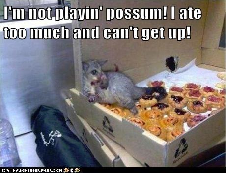 I'm not playin' possum! I ate too much and can't get up!