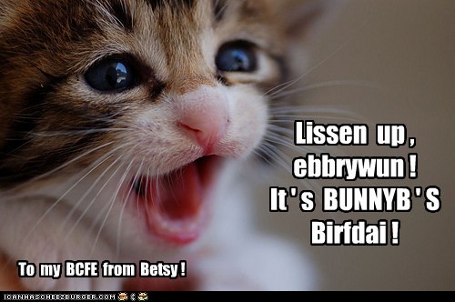 It's Bunnybrinkles' Birfdai!