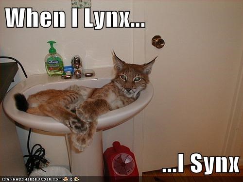 And I Always Lynx