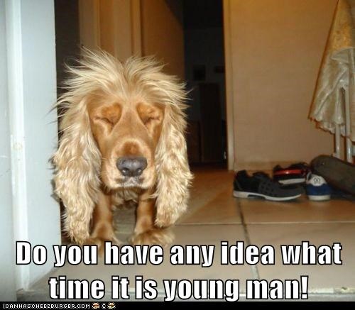 Do you have any idea what time it is young man!