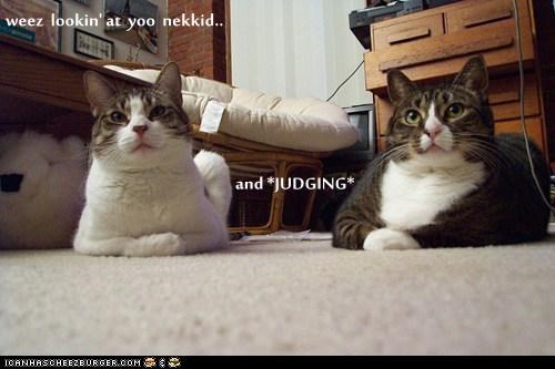 weez  lookin' at  yoo  nekkid..          and *JUDGING*