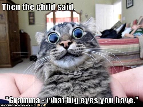 Then the child said,  "Gramma - what big eyes you have."